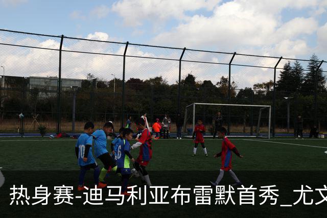 热身赛-迪马利亚布雷默首秀 尤文两小将进球2-0胜